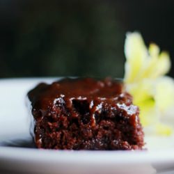 Skinny Vegan Chocolate Cake