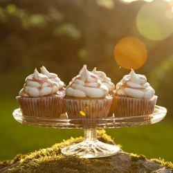 Rhubarb and Custardy Cupcakes