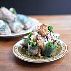 Five-Spice Chicken Spring Rolls