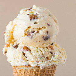 Malted Vanilla Ice Cream