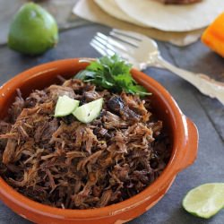 Spicy Orange Beef Carnitas