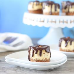 MIni Almond Joy Cheesecakes