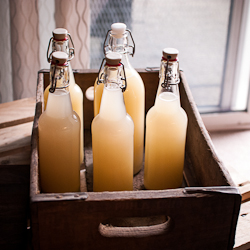 Ginger Beer