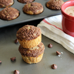 Chocolate Zucchini Muffins