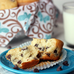 Chocolate Chip Muffins