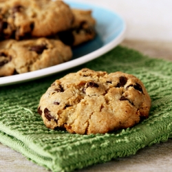 Chocolate Chocolate Chip Cookies