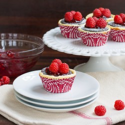 Black-Bottom Cheesecake Cupcakes