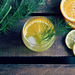 Fennel + Orange Cocktail