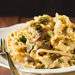 Creamy Mushroom-Fontina Pasta