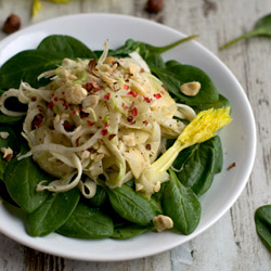 Shaved Fennel and Celery Raw Salad