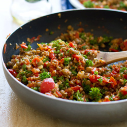 Sauteed Garlic Tomato Lentil Salad