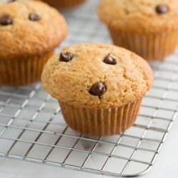 Classic Chocolate Chip Muffins