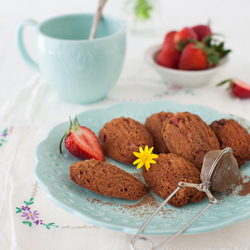 Chocolate Coconut Madeleines