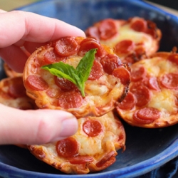 Mini Tortilla Pizzas