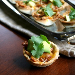 Pulled Pork Tortilla Cups