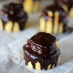 Boston Cream Cupcakes