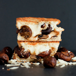 Swiss Mushroom Melt Grilled Cheese