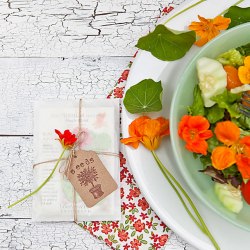 Nasturtium Salad