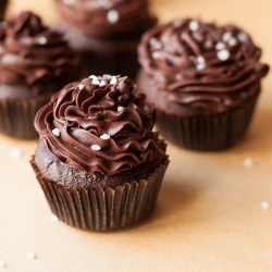 Chocolate Cupcakes