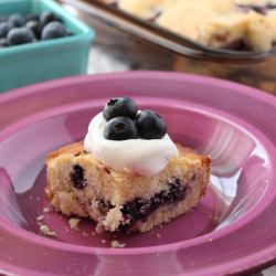 Blueberry Squares