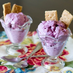 Blueberry Cheesecake Frozen Yogurt