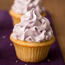 Lavender Cupcakes