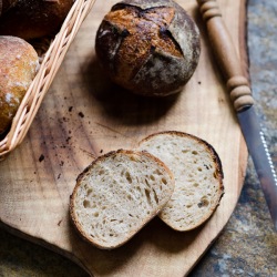 Apple Sourdough Bread Rolls