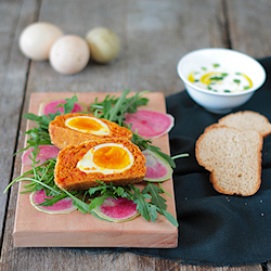 Vegetarian Scotch eggs