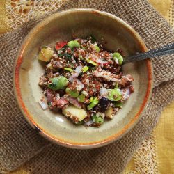 Spring Fava Bean Quinoa Salad