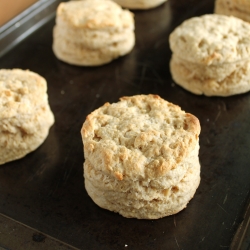 Fluffy Biscuits Vegan Style