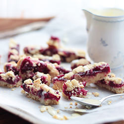 Red Berry Crumble Bars