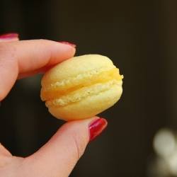 Lemon Curd Macarons