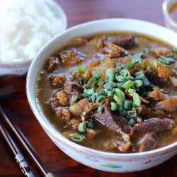 Braised Beef and Tendon