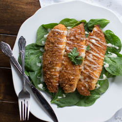 Gluten Free Breaded Tilapia