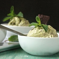 Raw Mint Chocolate Chip Ice Cream