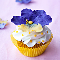 Pansy Cupcakes