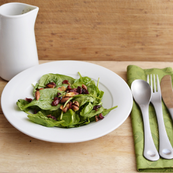 Cranberry Almond and Spinach Salad