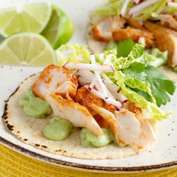 Spicy Fish Tacos with Avocado Sauce