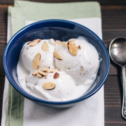 Honey Almond Frozen Yogurt