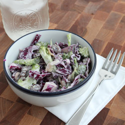 Broccoli & Red Cabbage Slaw