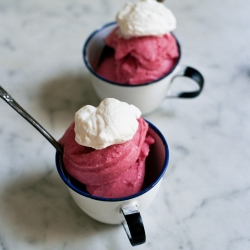 Rhubarb Sorbet