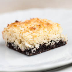 Black Bottom Coconut Bars