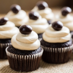 Smoked Sumatra Coffee Cupcakes