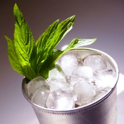 The Great Gatsby; Mint Julep