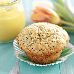 Coconut Lemon Poppy Seed Muffin