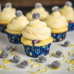 Blueberry Lemon Cupcakes