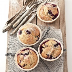 Blueberries Muffins