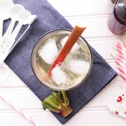 Rhubarb Vanilla Fizz