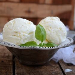 Vanilla Bean Ice Cream