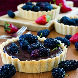 Chocolate Berry Tarts